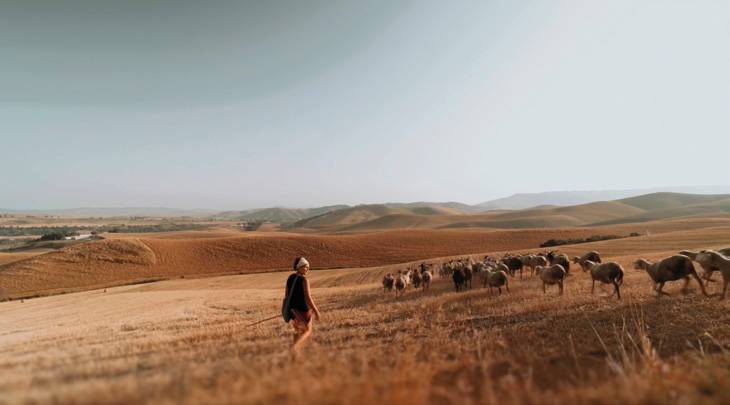 un giorno con il pastore