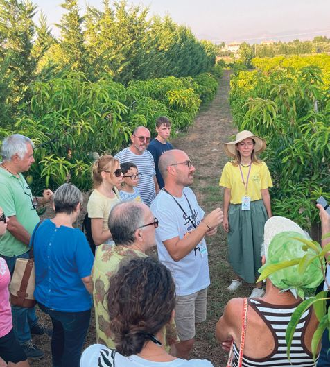 Alla scoperta delle terre delle balestrate