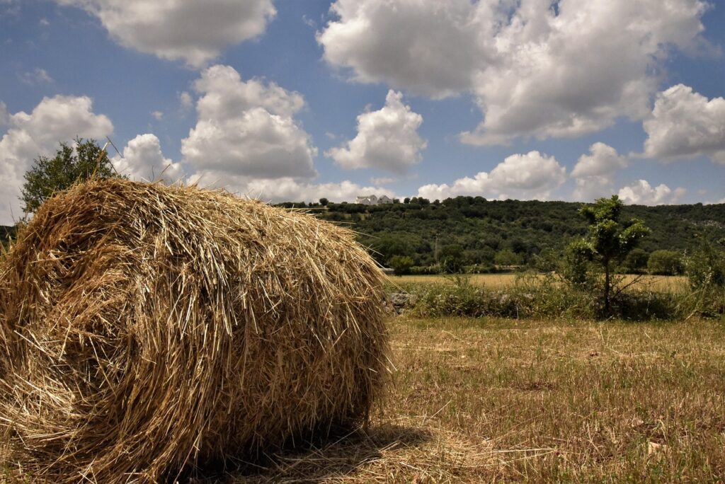 Cammini Puglia