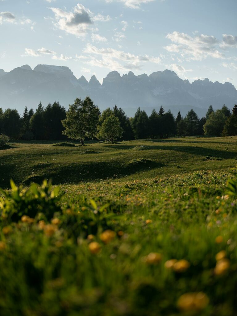 Cammini Trentino-Alto Adige