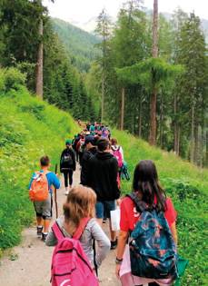 Campo estivo natura e sport