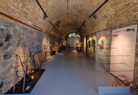 Museo del vino dei Castelli Romani
