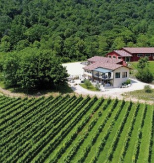 Notte e degustazione nei vigneti della Ribolla Gialla